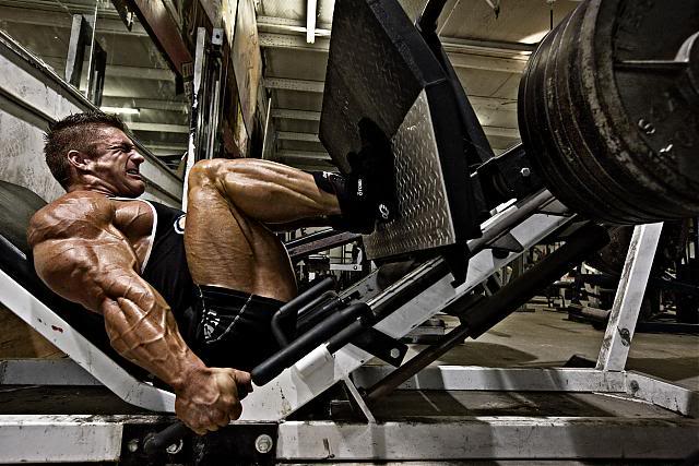 腿部训练 呼吸方法 flex lewis 腿举
